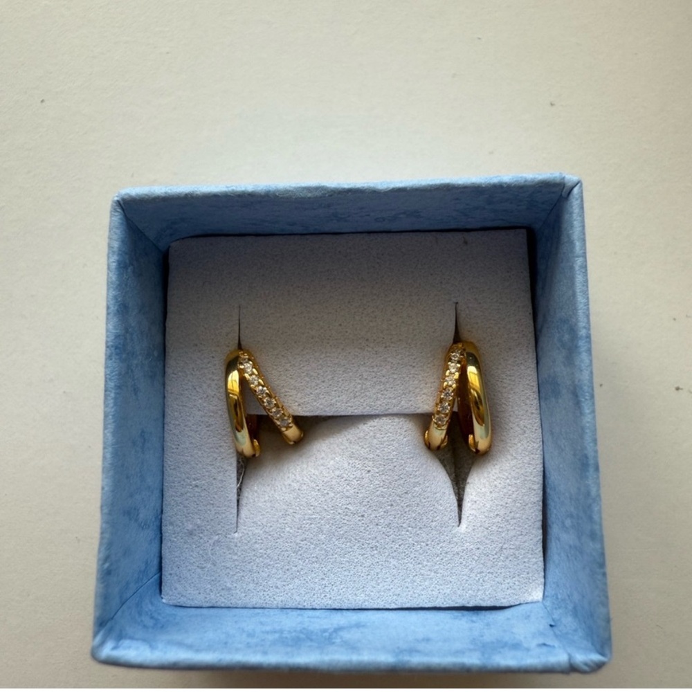 Elegant Gold and Silver Hoop Earrings